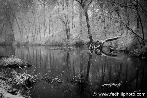 Fine art black and white photo of snowfall and reflections in pond water in Riverside Village of Church Creek, Maryland.