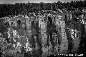 Fine art black and white photograph of Paunsaugunt Plateau in Bryce Canyon National Park, Utah.