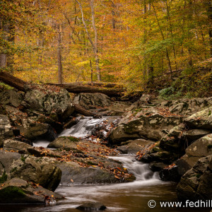 Fine art autumn nature photo of Broad Run stream feeding into Gunpowder Falls river.